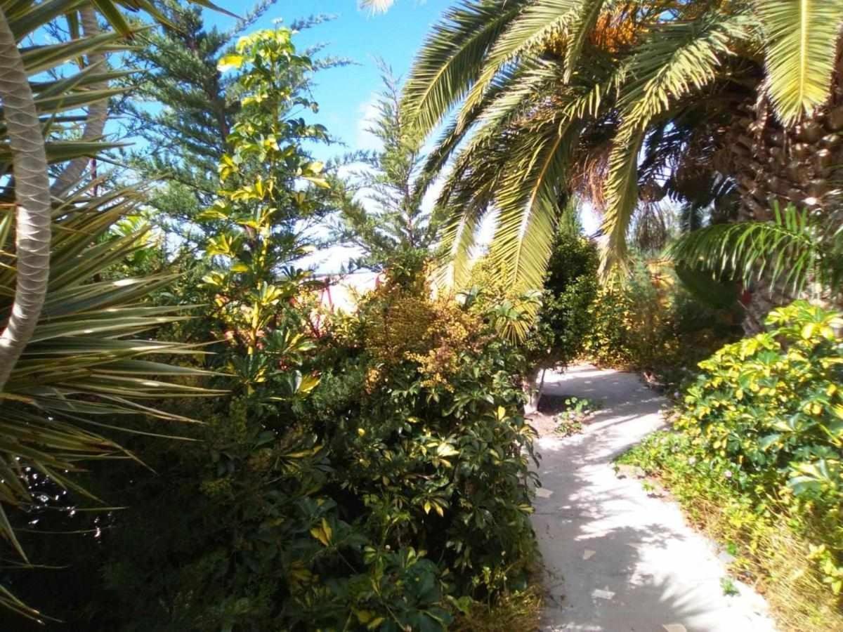 Vivienda Vacacional Finca Jorsam Con Piscina Tazacorte Exterior foto