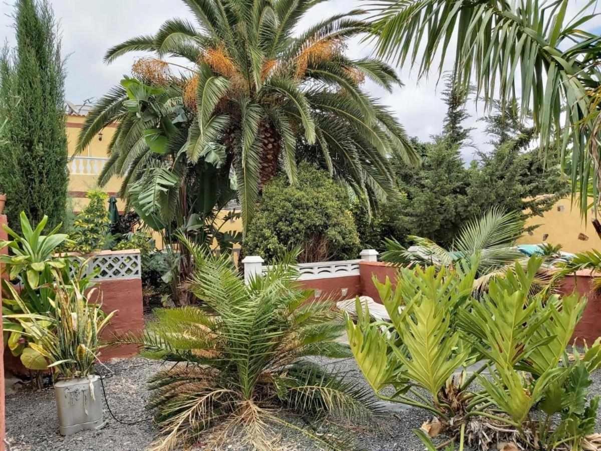 Vivienda Vacacional Finca Jorsam Con Piscina Tazacorte Exterior foto