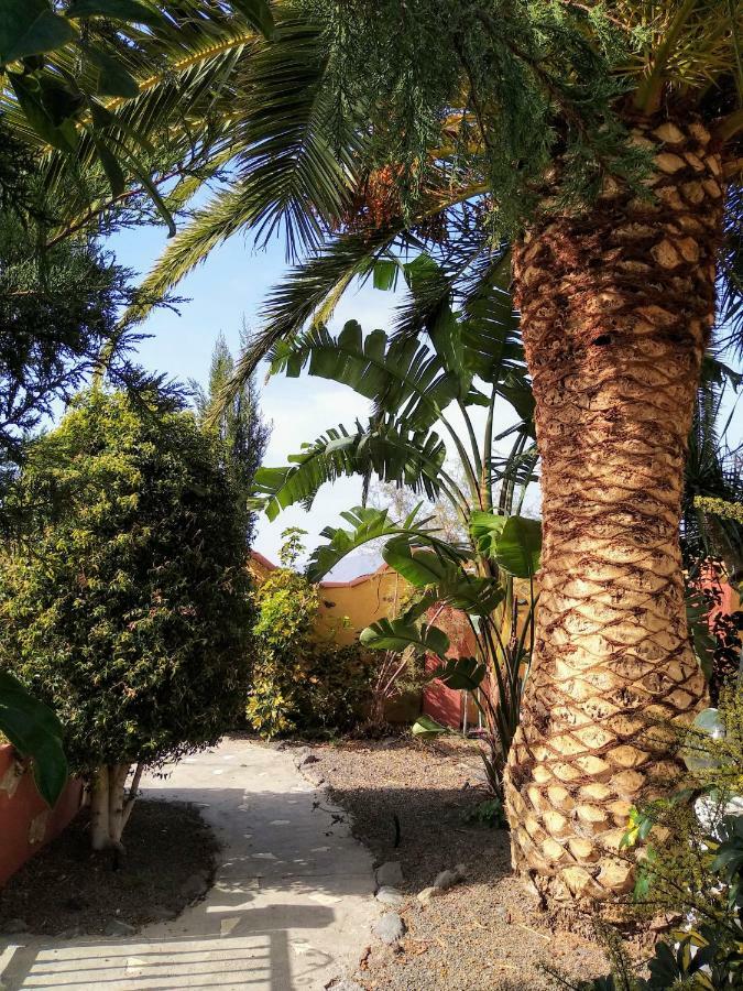 Vivienda Vacacional Finca Jorsam Con Piscina Tazacorte Exterior foto